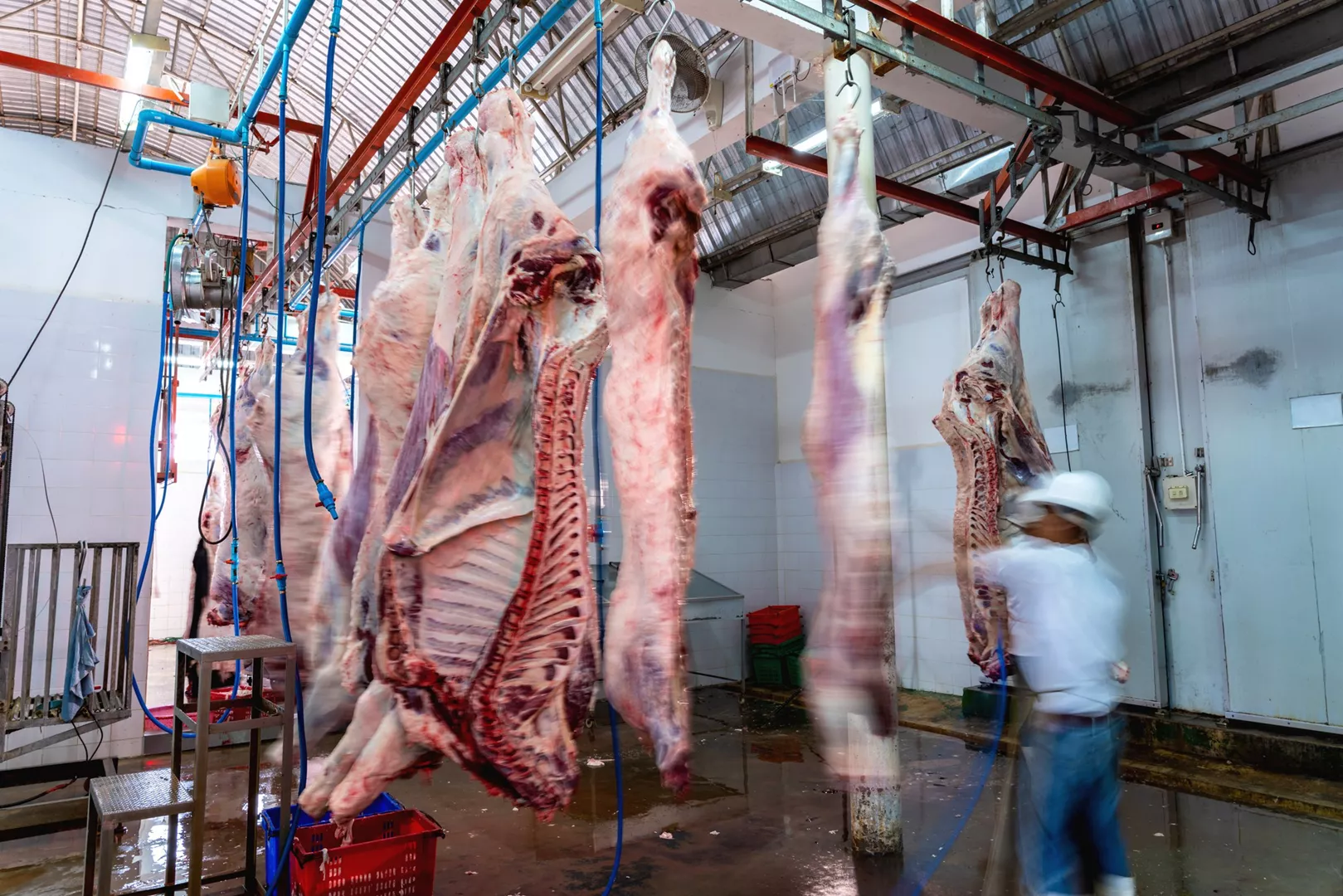 butchers-works-slaughterhouse-meat-cuts-freshly-hanged-hooks_08-07-2023